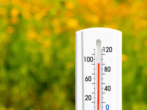 Photo of an outdoor thermometer displaying a high temperature in Celsius and Fahrenheit.